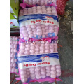 Bawang putih putih normal dijual